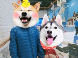 点击看大图 -Mr·Kuma酷么先生雪之乐园