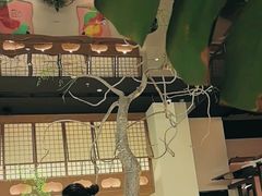 -桂满陇·海市蜃楼·黑金(国金店)