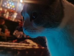 -后院儿·精酿·塔罗Happy Bar