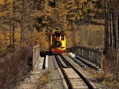 -莫尔道嘎国家森林公园