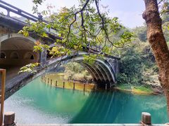 -鼎湖山风景区