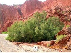 -天山神秘大峡谷