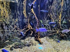 -华夏文旅海洋公园