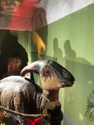 -恐龙探索乐园(磁器口店)