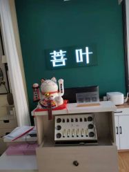-菩叶脱发白发中心