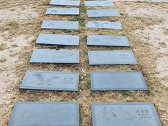 -野鸭湖国家湿地公园