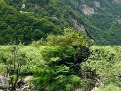 -少华山国家森林公园