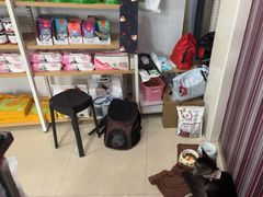 -瑞鹏·疫苗·绝育·宠物医院(金沙洲店)