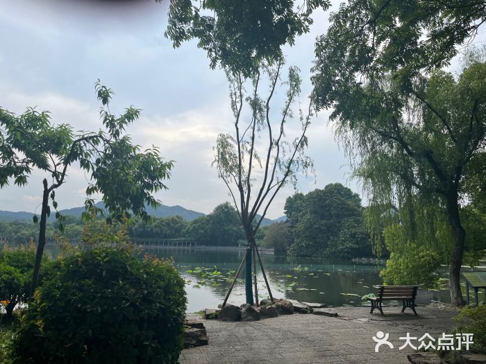 西湖外事游船(花港观鱼码头)图片