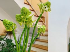 -森野花艺培训·企业团建活动沙龙