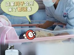 -优护佳月嫂育儿嫂中心(静安店)