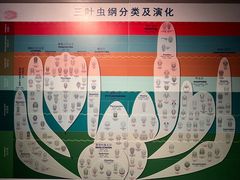 -安徽省地质博物馆