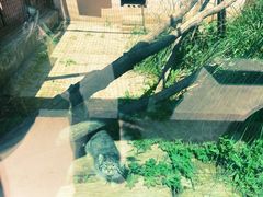 -青藏高原野生动物园