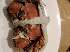 -常州富力喜来登酒店 Feast盛宴标帜西餐厅(新北万达广场店)