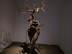 -苏州本色美术馆