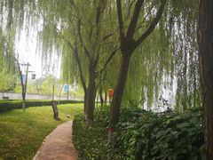 -西安汉城湖景区