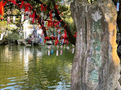 -善卷洞风景区