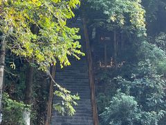 -云碧峰国家森林公园