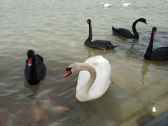 -艾溪湖湿地公园