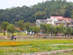 -红山村