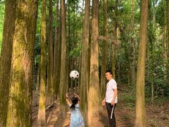 -滴水岩森林公园
