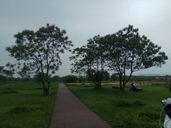 -盘龙城国家考古遗址公园