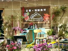-沂蒙山旅游区云蒙景区(蒙山国家森林公园)