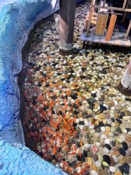 -酷嗒动物文化乐园(cutezoo西溪乐天城店)