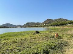 -风云岭森林公园