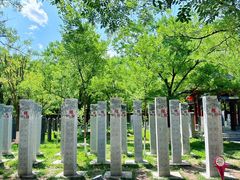 -大槐树寻根祭祖园