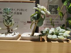 -简屋书店
