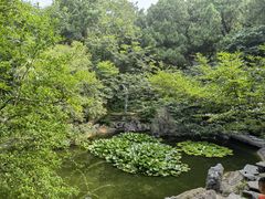 -云龙山