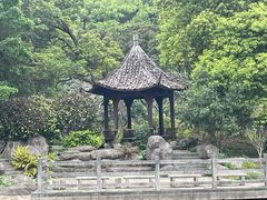 -广州市帽峰山景区