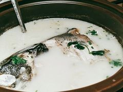 有机珊瑚鲜鱼头-小厨娘淮扬菜(天印大道店)