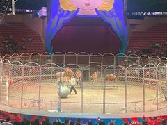 -俄罗斯国家大马戏团