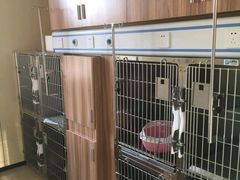 -康成宠物医院24H·CT·核磁共振