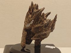 -香市公园-中国沉香文化博物馆