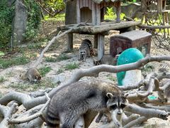 -宁波野生动物园
