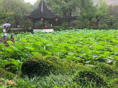 -上海醉白池公园