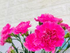 -来之顺海鲜菜馆·青岛菜(栈桥店)