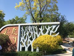 -武清南湖绿博园