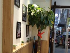 -韩萍老南京馄饨(河西万达店)