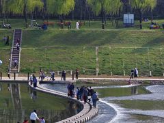 -洨河生态公园