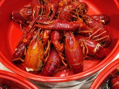 -虾皇(龙虾城旗舰店)