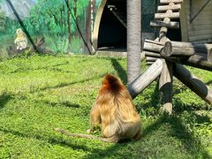 -西安秦岭野生动物园