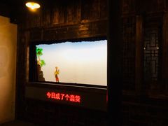 -乌镇东栅景区-应家桥皮影戏馆