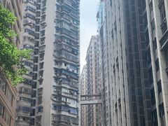 -周师兄大刀腰片火锅(洪崖洞旗舰店)