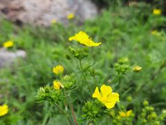 -沈阳辉山风景区