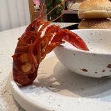 会抖唇的小龙虾🦞来啦！好吃停不下来