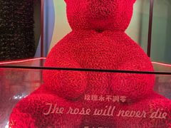 -泉城欧乐堡梦幻世界